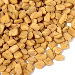 Fenugreek