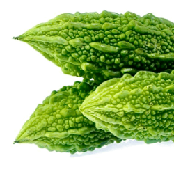 Bitter melon